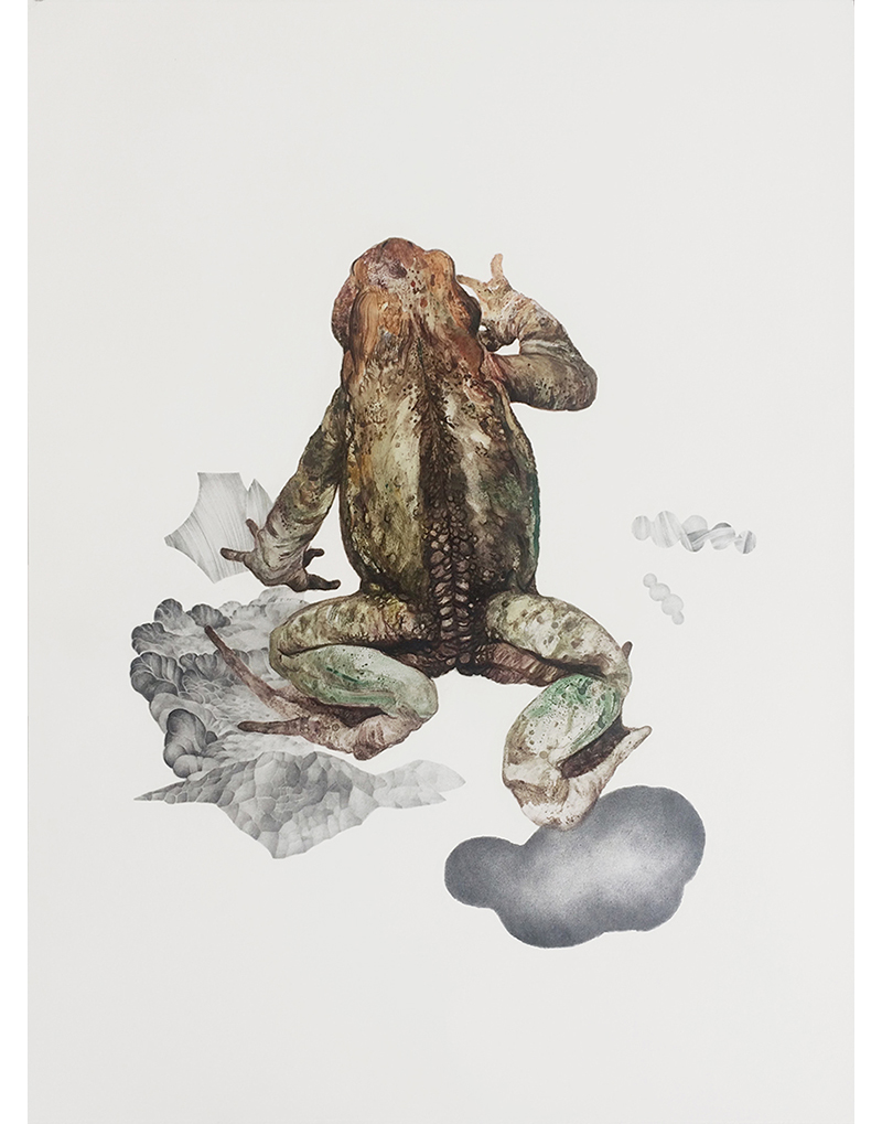 nach der winterstarre, Sara Welponer oil painting and pencil on paper, toad painting, mustererkennung, BOOOOOOOM!